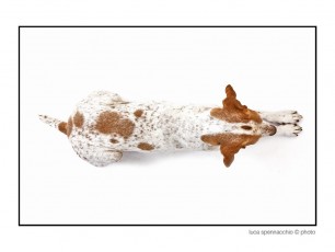 COD_6248 copia