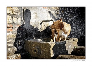 COD_4342 copia