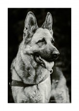 COD_7325_web