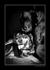Kaos e Brugy_IMG_3051