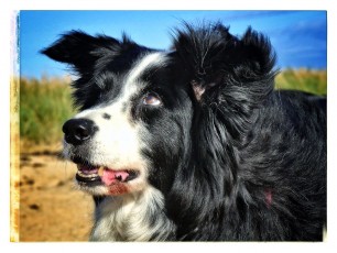 Mallory in Bretagna