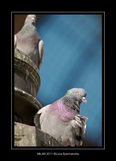 COD_5839