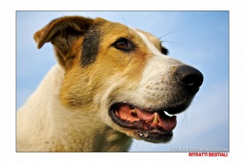 IMG_0971 copia