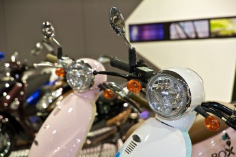_MG_3481