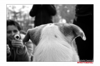 IMG_0976 copia