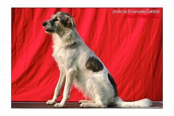 IMG_8629 copia