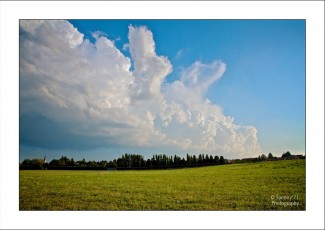 IMG_7297