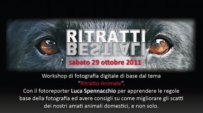Schermata 2011-10-13 a 20.57.14