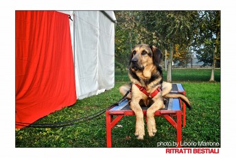 _DSC0123 copia