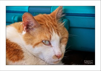 IMG_6788