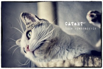 CATart_03