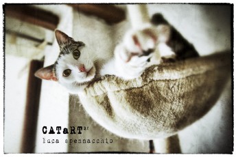 CATaRT_05