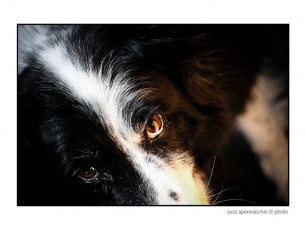 IMG_3234