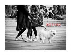 IMG_2775