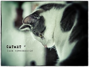 CATaRT_01