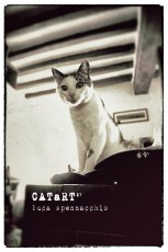 CATaRT_04