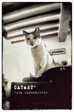 CATaRT_04