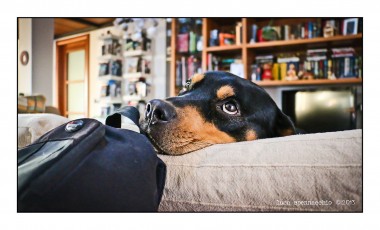 IMG_4291