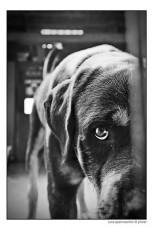 IMG_1191