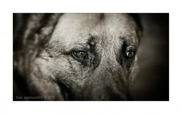 COD_7491_web