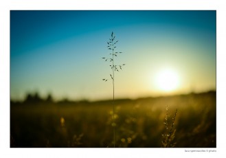 LUC_3350 copia