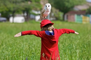 Barn owl on a child_29C0115