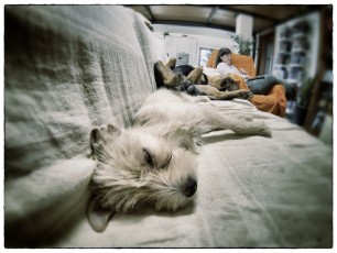 GOPR0003_Mini sleep on sofÃ