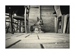 COD_7572_web