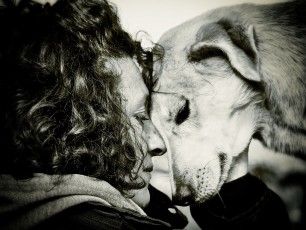 LoveDogs