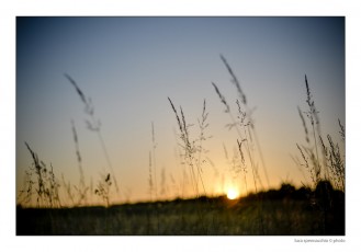 LUC_3371 copia