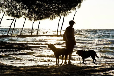 Samy e i cani in Istria